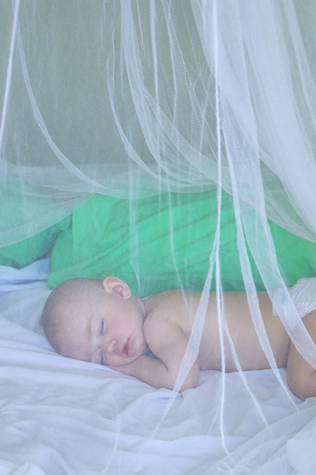 Protects like Netting