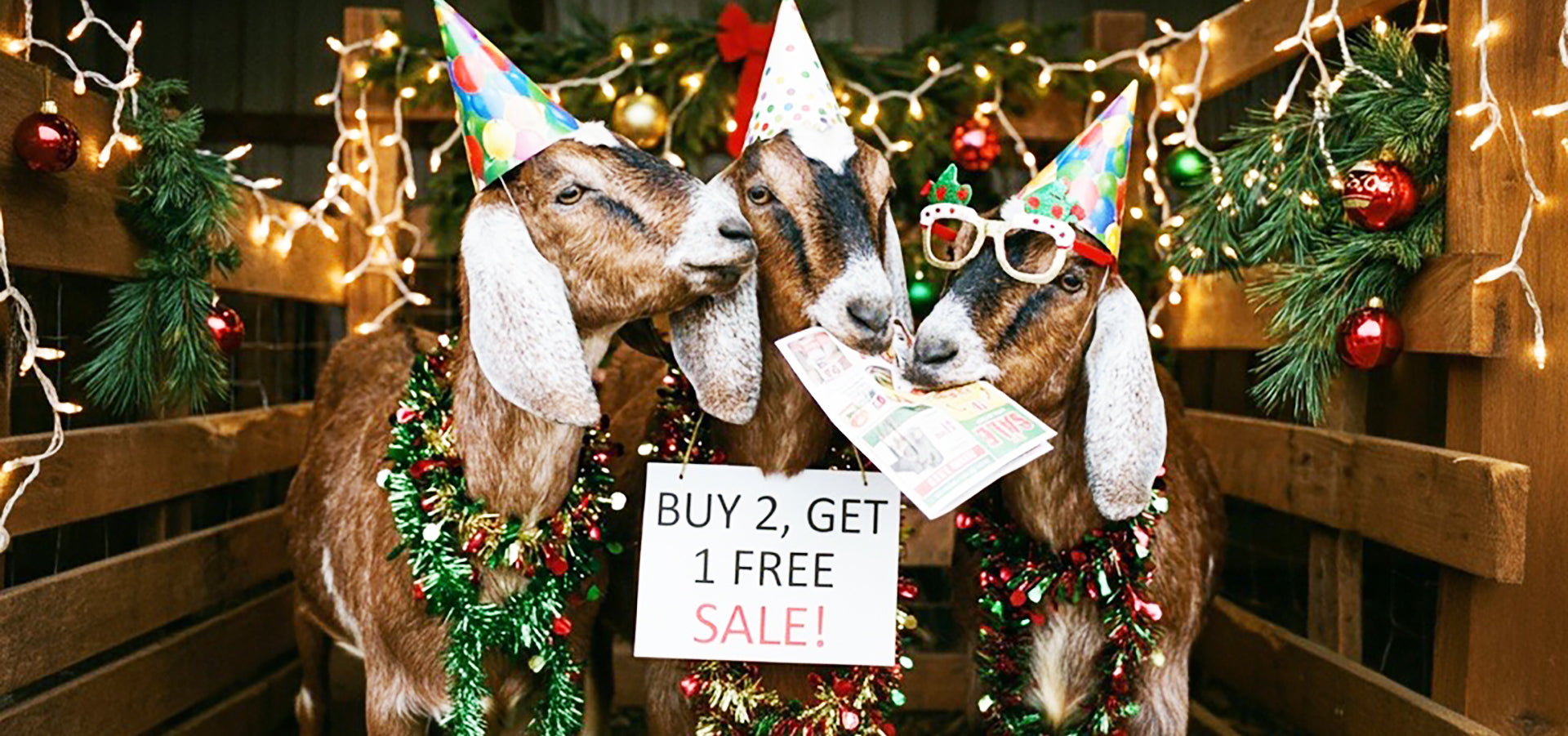 Three goats in festive attire with Christmas decorations and a Buy 2 Get 1 Free sale sign.