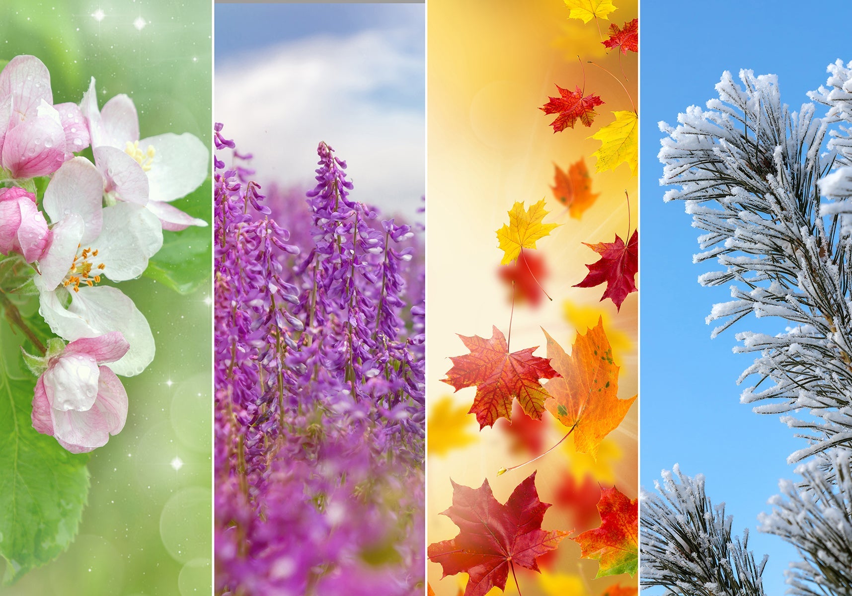 By Season