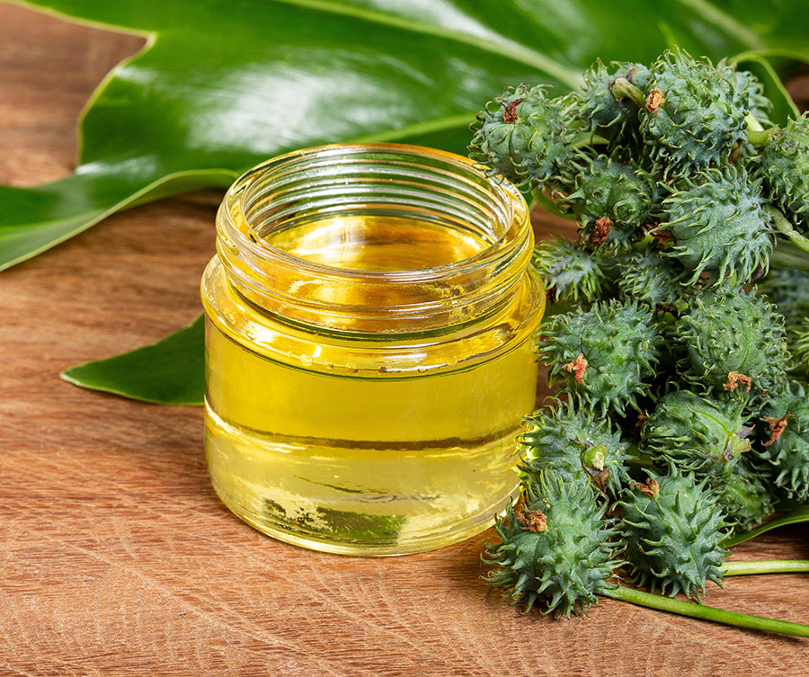 O My! Jar of oil with green plant on a wooden surface