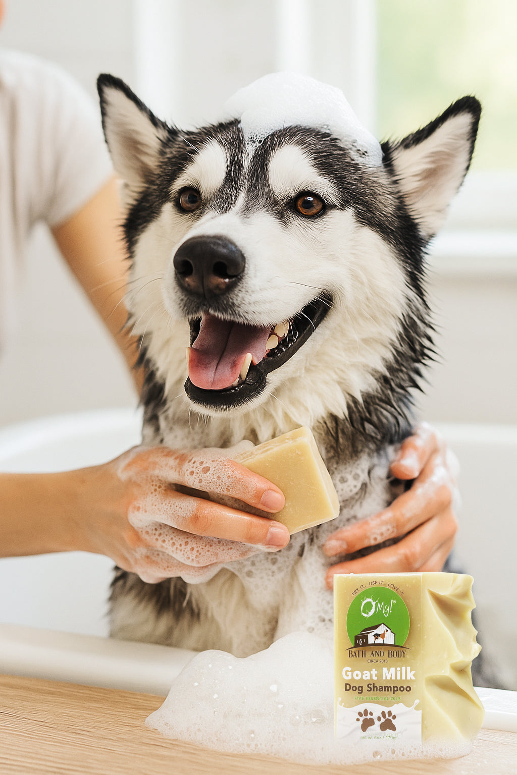 Dog being bathed with a bar of O My! Goat Milk Dog Shampoo bar in a bathroom setting.