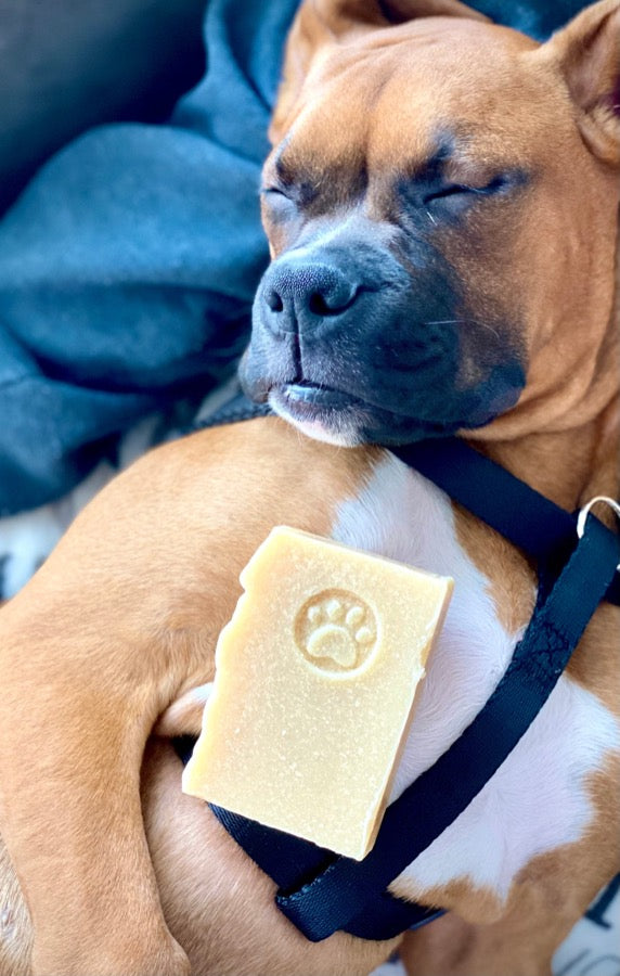 O My! Dirty Paws Dog Goat Milk Shampoo Bar is so gentle on your furry friend, it's like a lullabye for their skin and fur.
